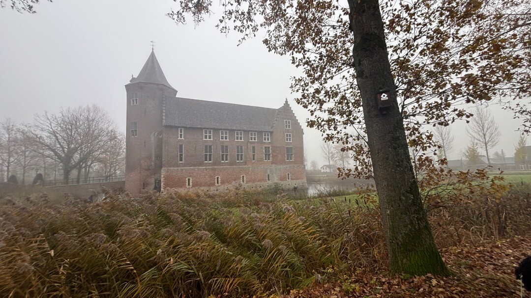 Hank - Drongelen · Biesboschpad etappe 8