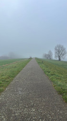 Hank - Drongelen · Biesboschpad etappe 8