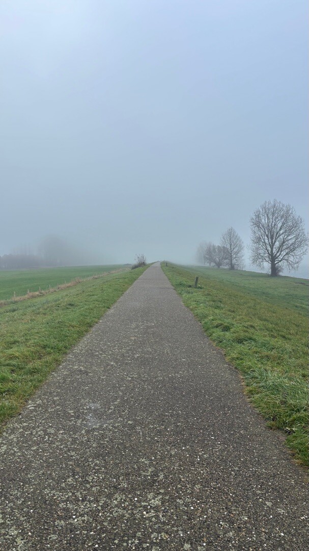 Hank - Drongelen · Biesboschpad etappe 8