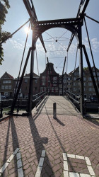 Dordrecht Station - Kop van 't Land · Biesboschpad etappe 5