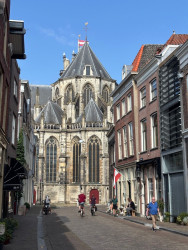 Dordrecht Station - Kop van 't Land · Biesboschpad etappe 5