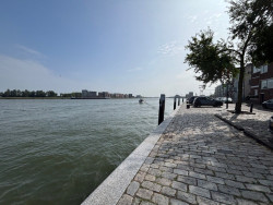 Dordrecht Station - Kop van 't Land · Biesboschpad etappe 5