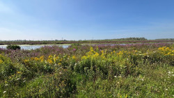 Kop van 't Land - Werkendam · Biesboschpad etappe 6