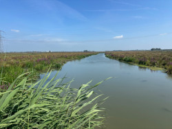 Kop van 't Land - Werkendam · Biesboschpad etappe 6