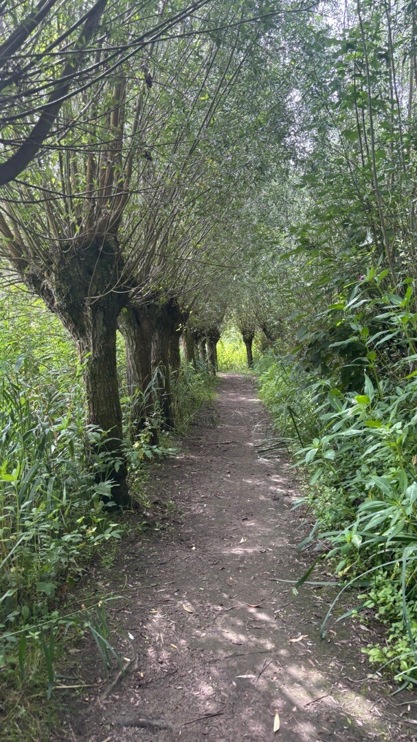Dordrecht Kiltunnel - Kop van 't Land · Biesboschpad etappe 12