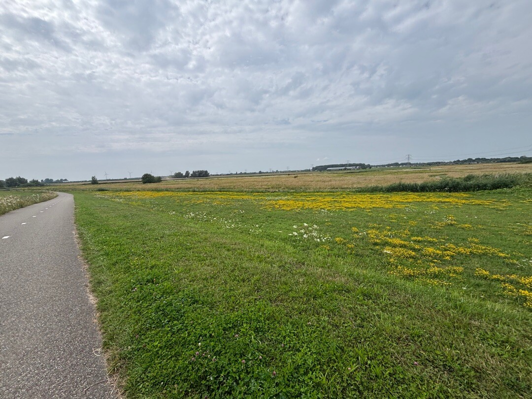 Dordrecht Kiltunnel - Kop van 't Land · Biesboschpad etappe 12