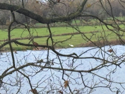 Drongelen - Waalwijk · Biesboschpad etappe 9