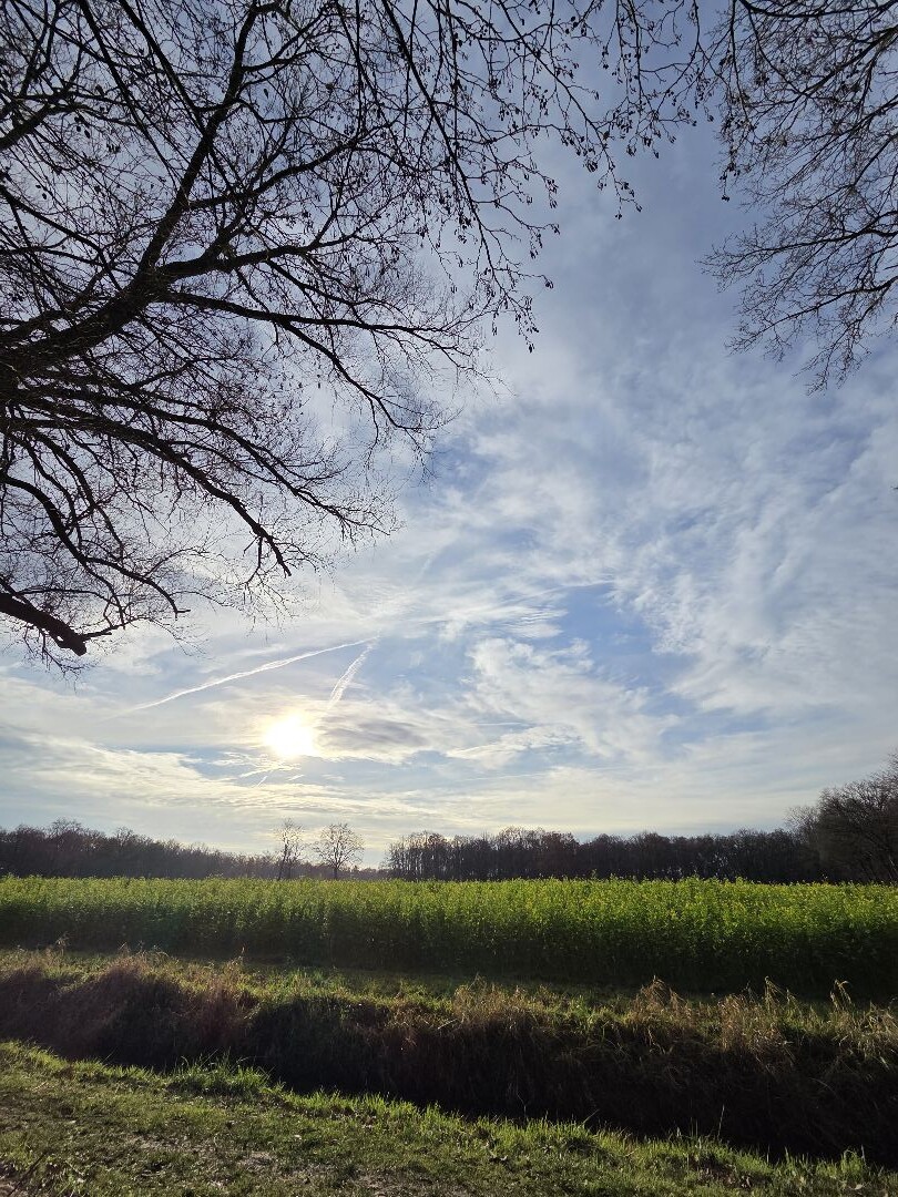 Ruurlo - Eibergen · Trekvogelpad etappe 22