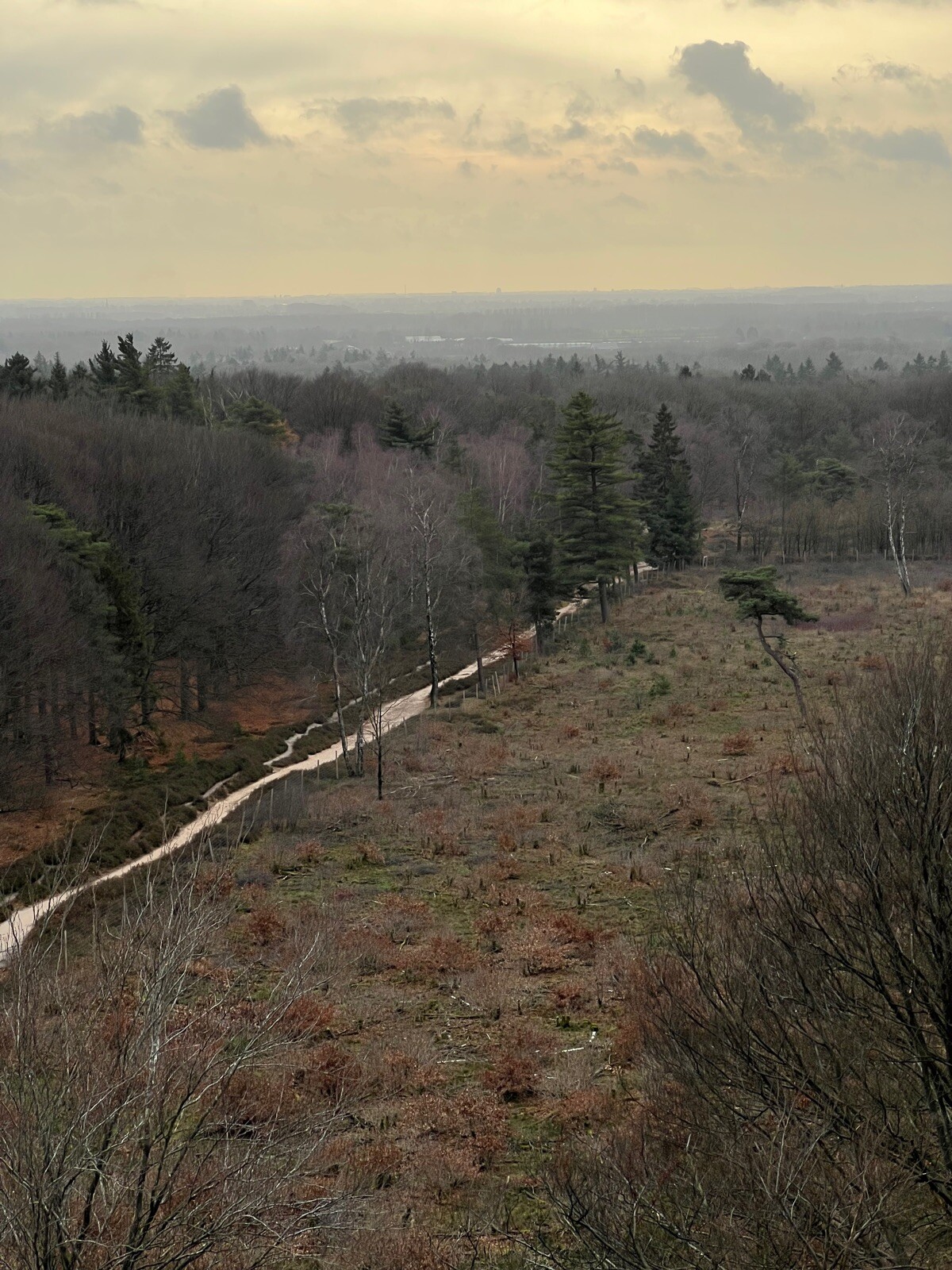 Mooi deel TVP door Bosrijk gebied