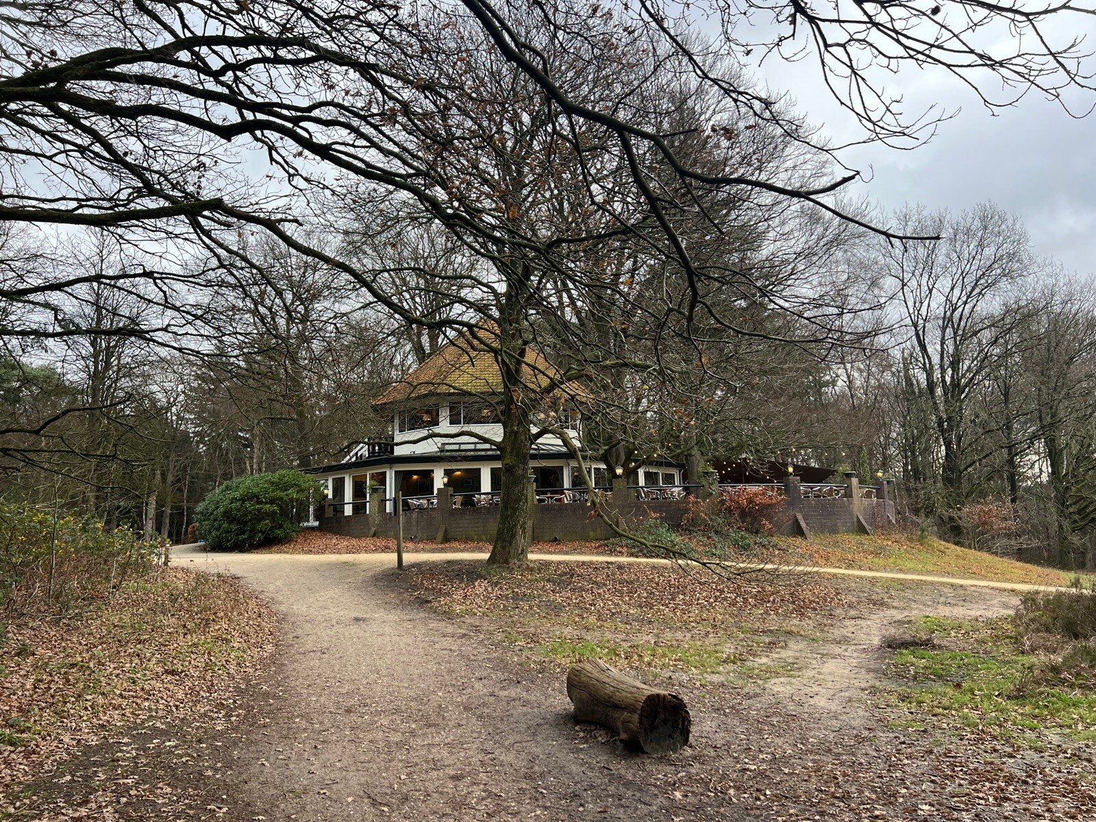 Mooi deel TVP door Bosrijk gebied