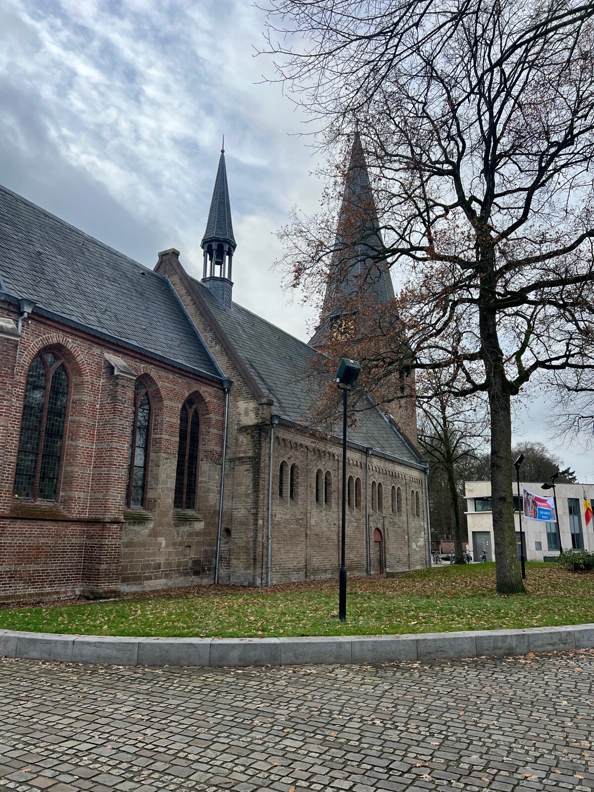 Mooi deel TVP door Bosrijk gebied