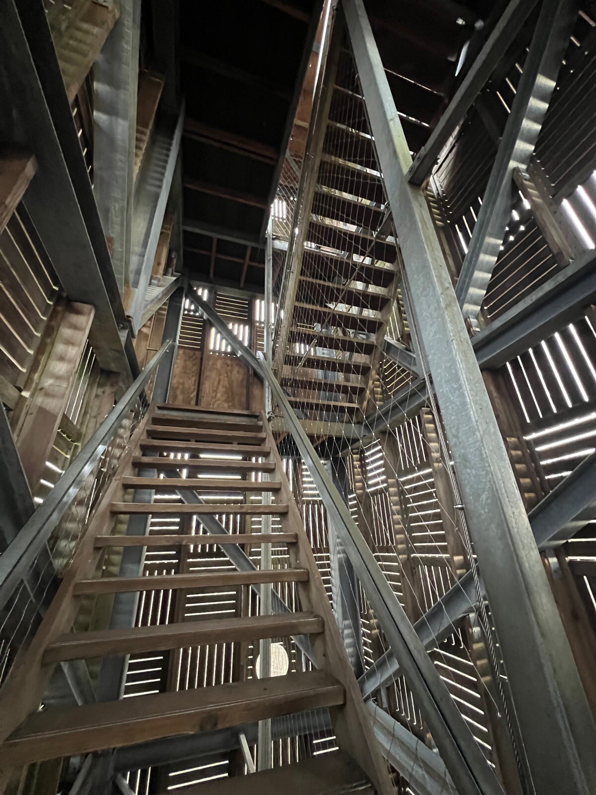 Mooi deel TVP door Bosrijk gebied