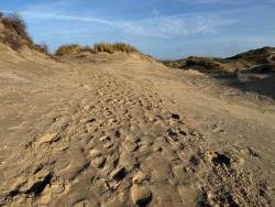 Den Haag Centraal station - Katwijk aan Zee · Nederlands Kustpad 2 etappe 3