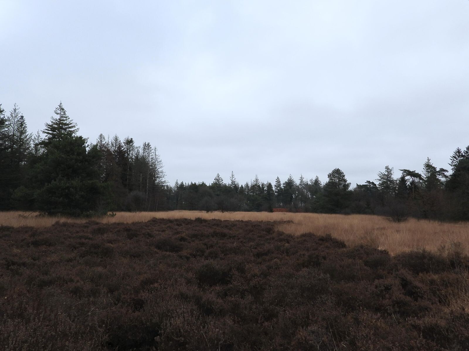 De Oldemeijer - Groen