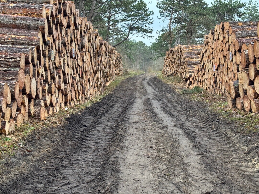 Katwijk aan Zee - De Zilk · Nederlands Kustpad 2 etappe 4