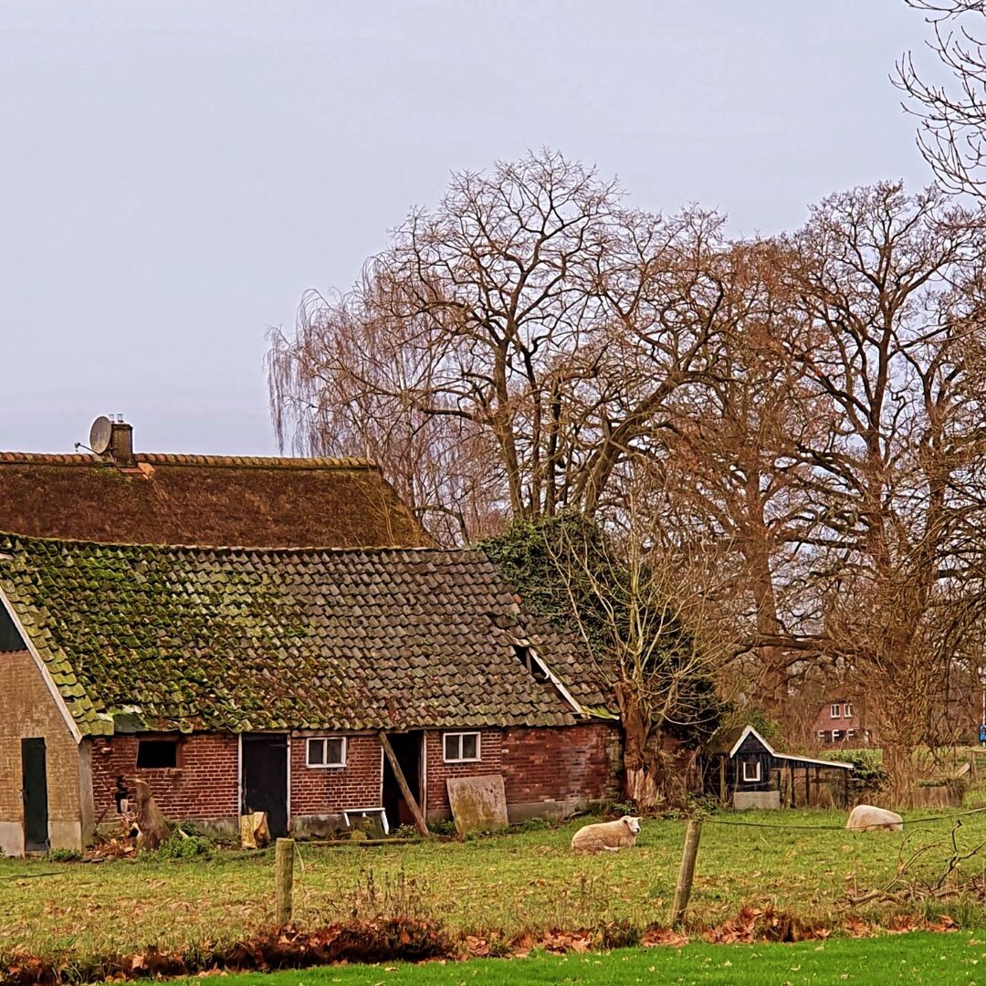 Coevorden - Hardenberg · Pieterpad etappe 8