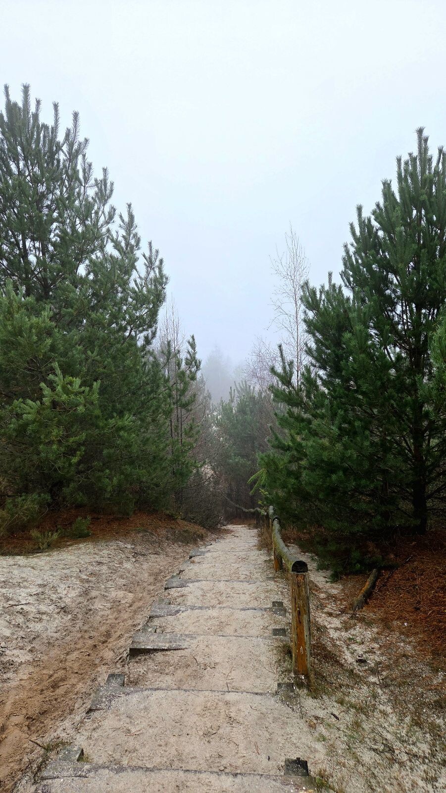 De Gasselterdennenroute