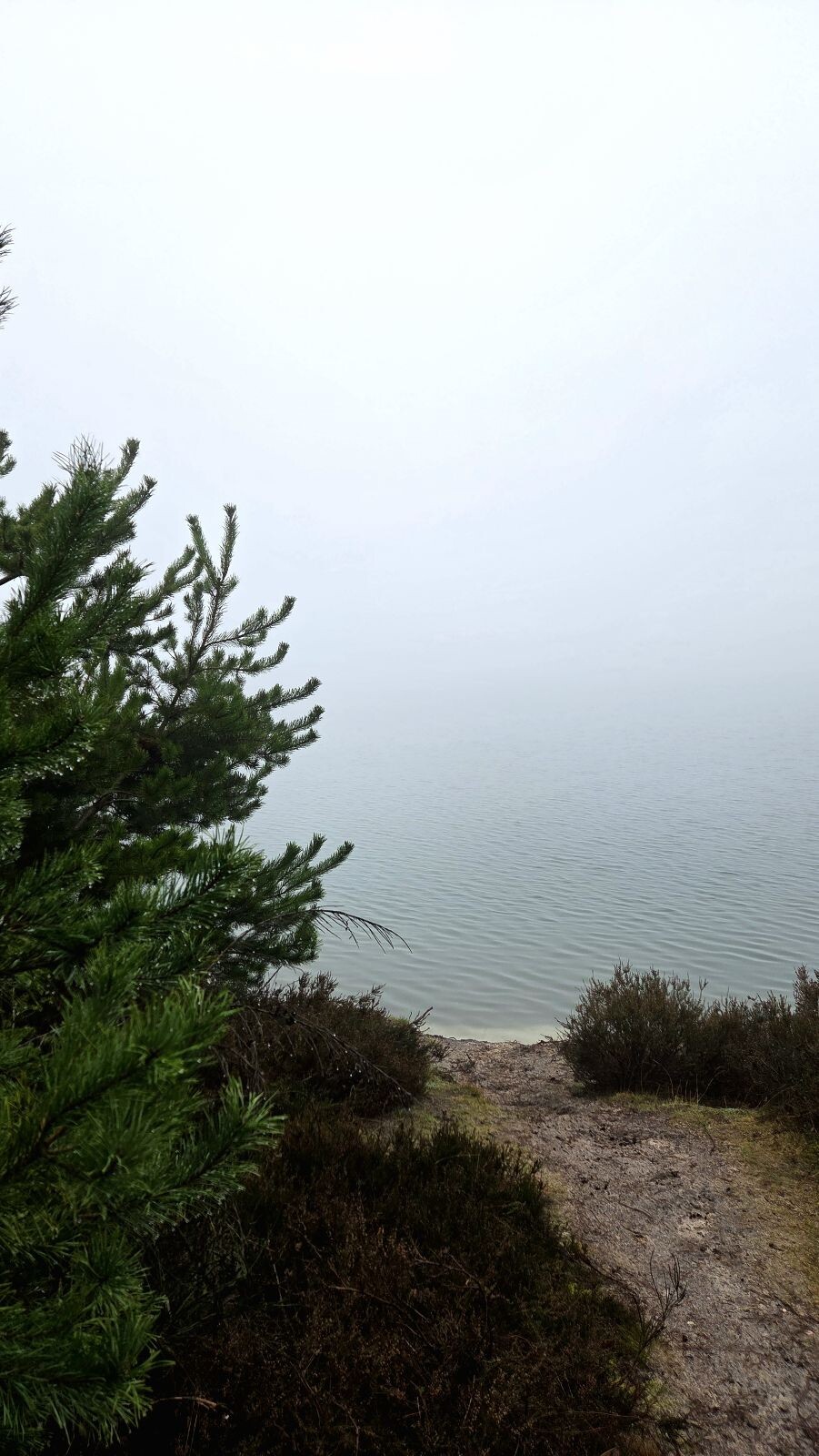 De Gasselterdennenroute