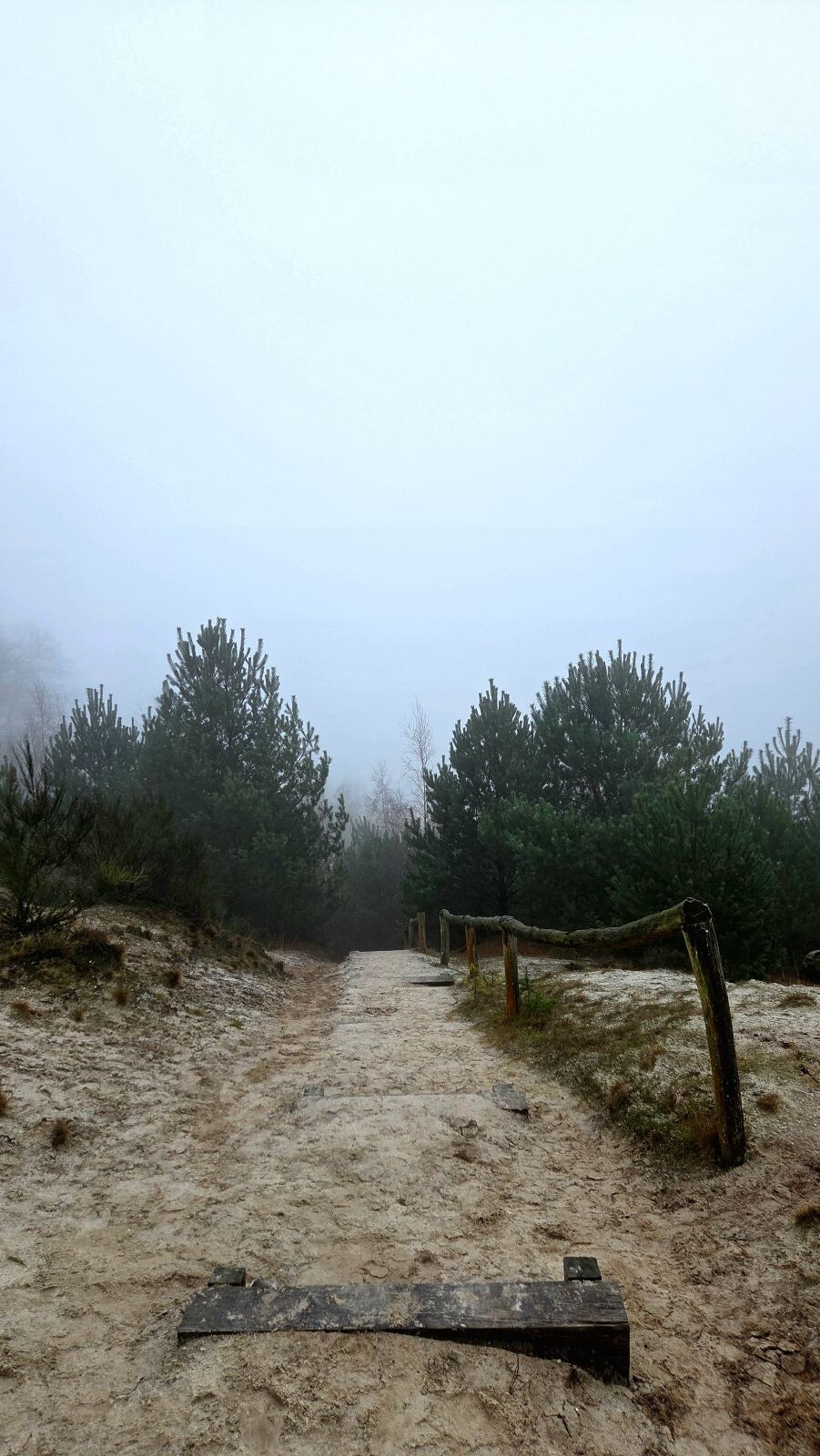 De Gasselterdennenroute