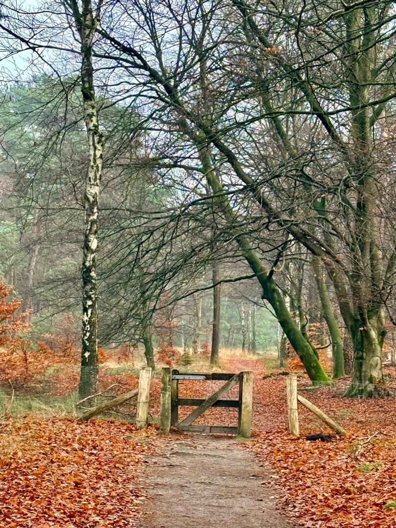 Otterlo - Hoenderloo · Trekvogelpad etappe 17