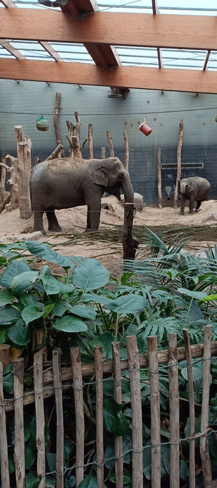 Dierenpark Amersfoort
