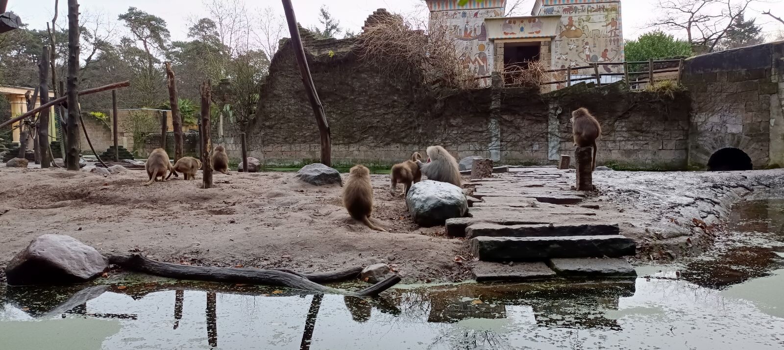 Dierenpark Amersfoort
