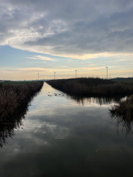 Station Hoek van Holland Haven - Rozenburg · GR5 etappe 1
