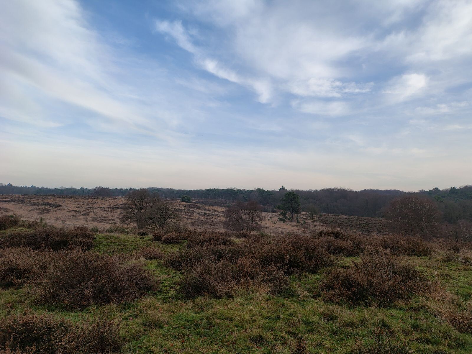 Plasmolen - Malden · Walk of Wisdom etappe 4