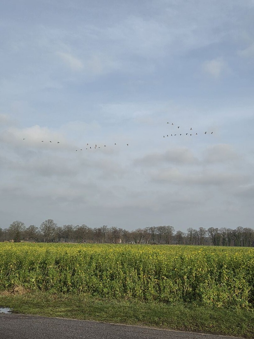 Eibergen - Koekoesbrug · Trekvogelpad etappe 23