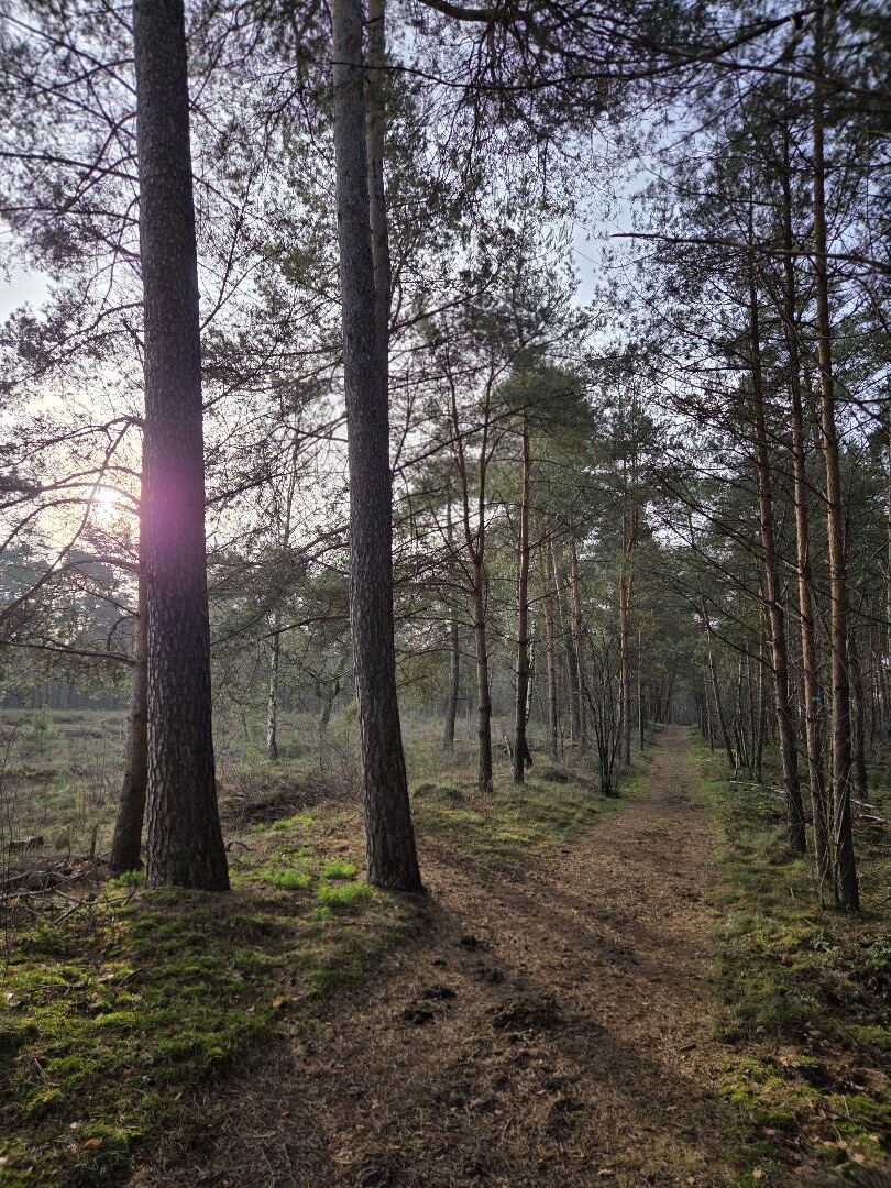 Eibergen - Koekoesbrug · Trekvogelpad etappe 23