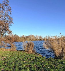 Rotterdam - Schiedam · Groene Hartpad etappe 5