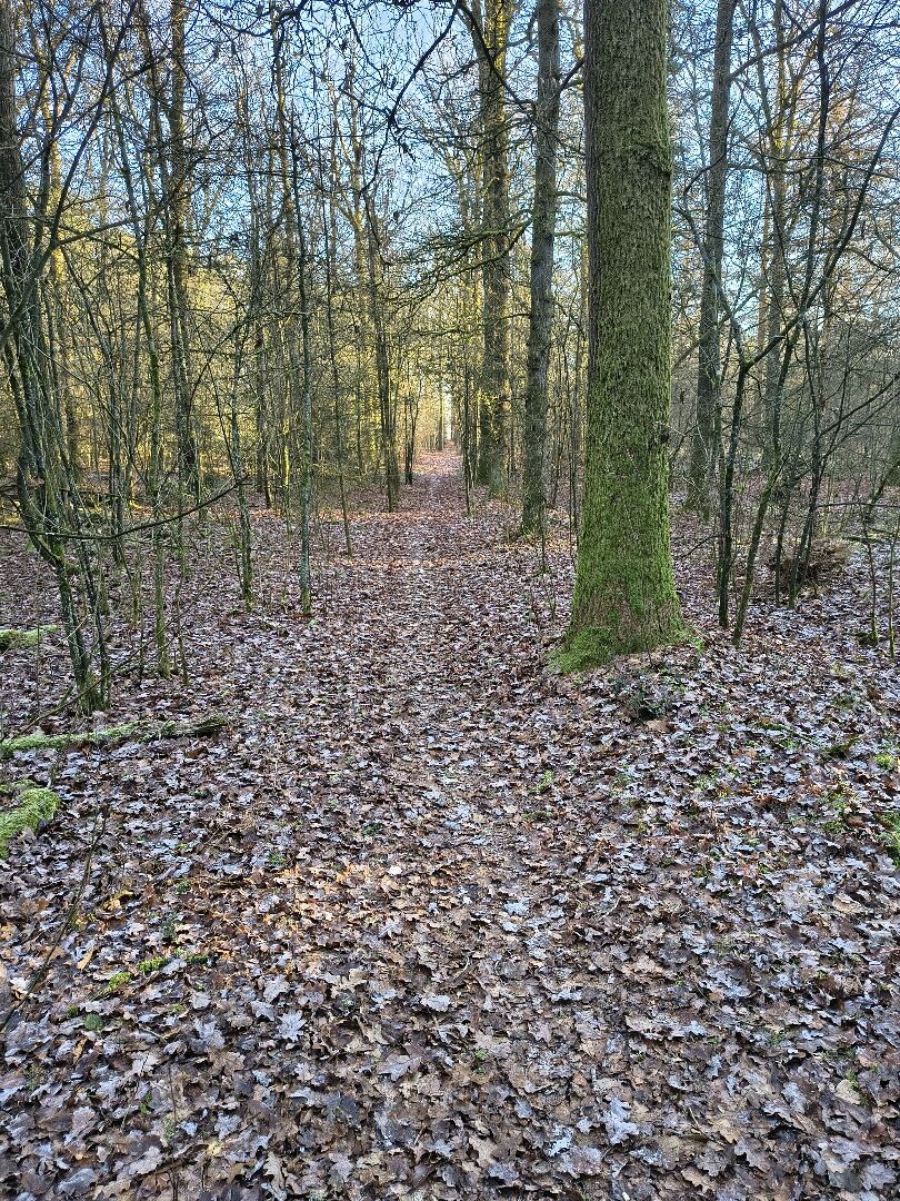 Wandelroute Jeneverbesroute Sleenerzand