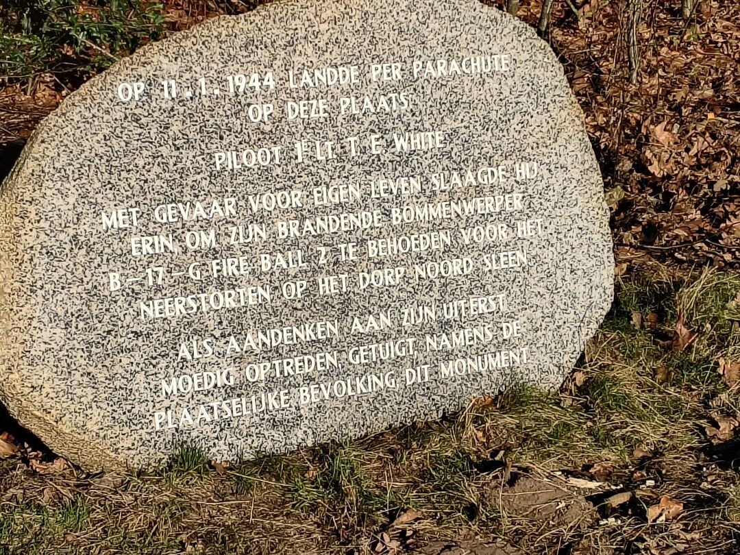 Wandelroute Jeneverbesroute Sleenerzand