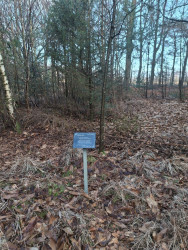 Wandelroute Esmeer