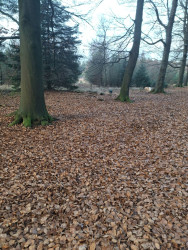 Wandelroute Esmeer