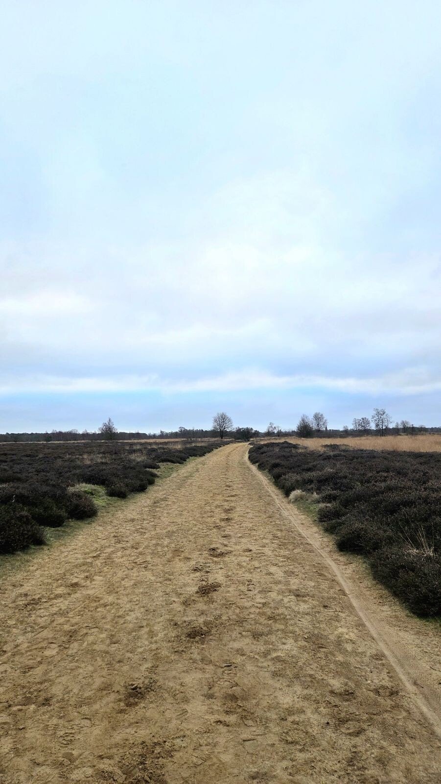 Boswachterspad Ballooërveld verkort
