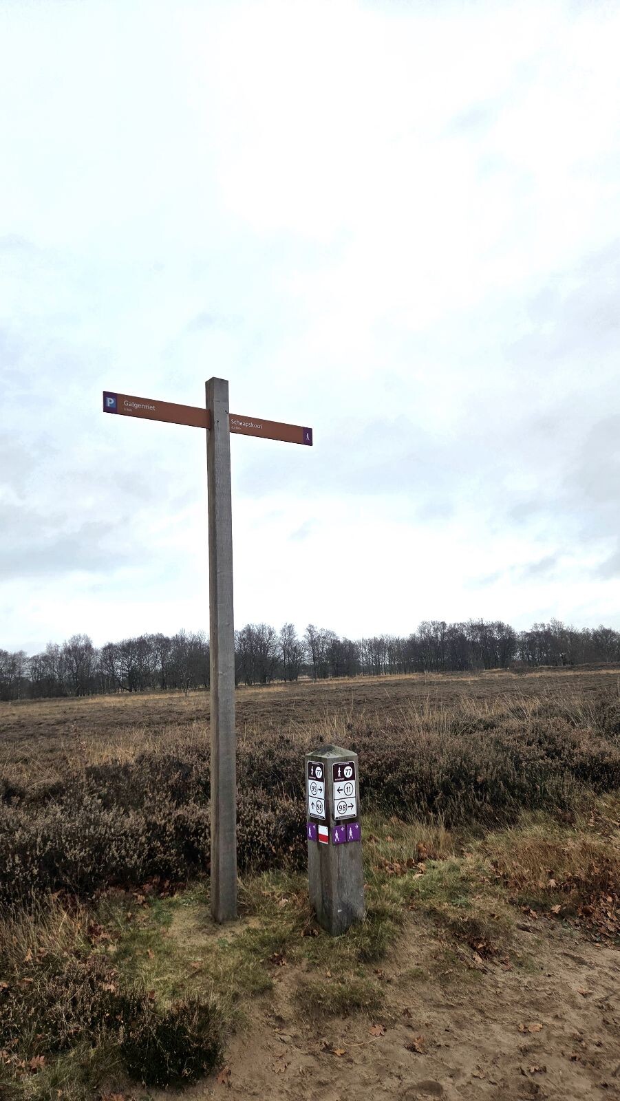 Boswachterspad Ballooërveld verkort