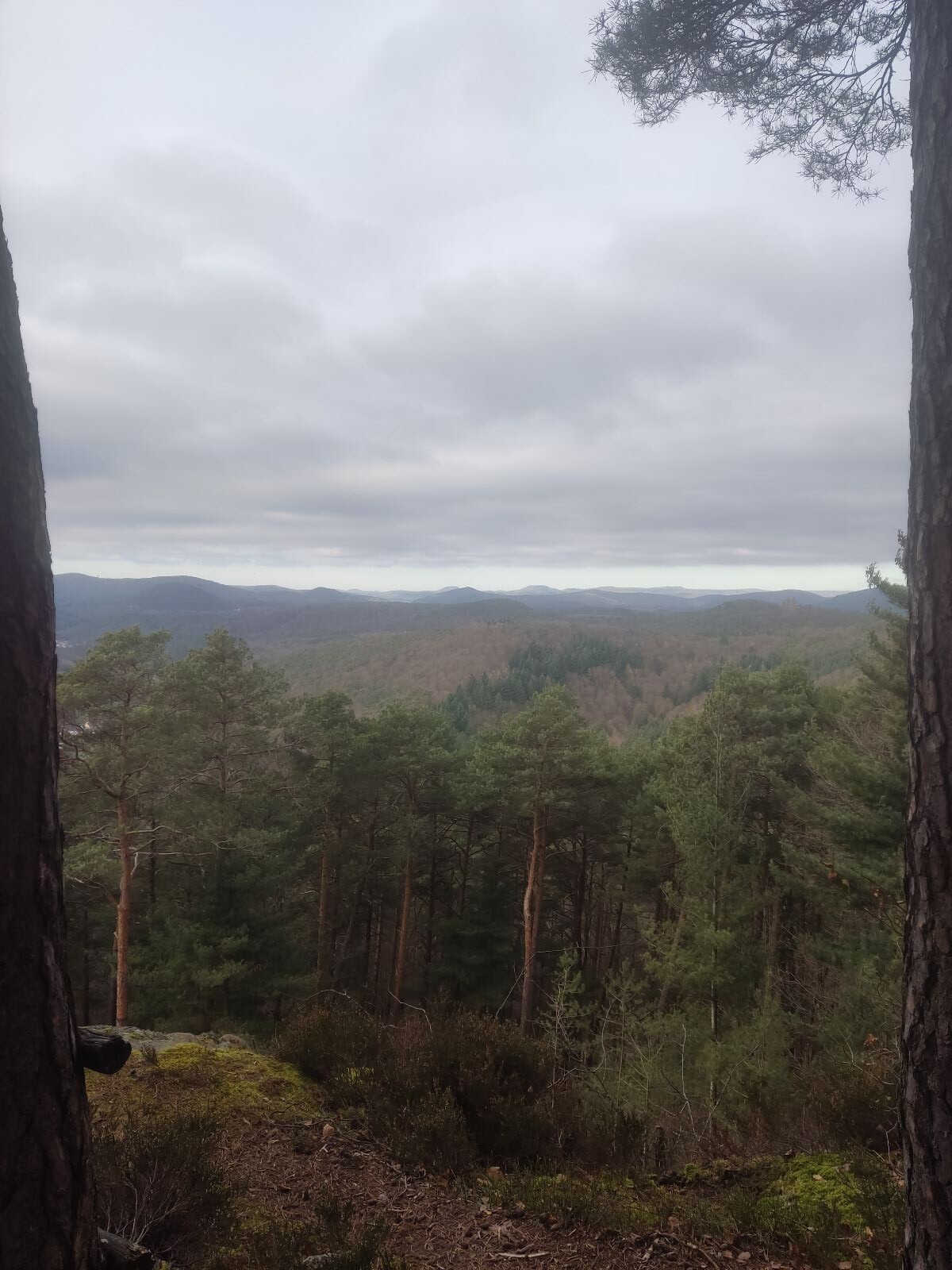 Burgenweg (Klingenmünster)