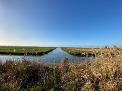 Moerdijk - Maasdam · Biesboschpad etappe 3