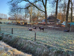 Tubbergen - Saasveld · Hilligenpad etappe 4