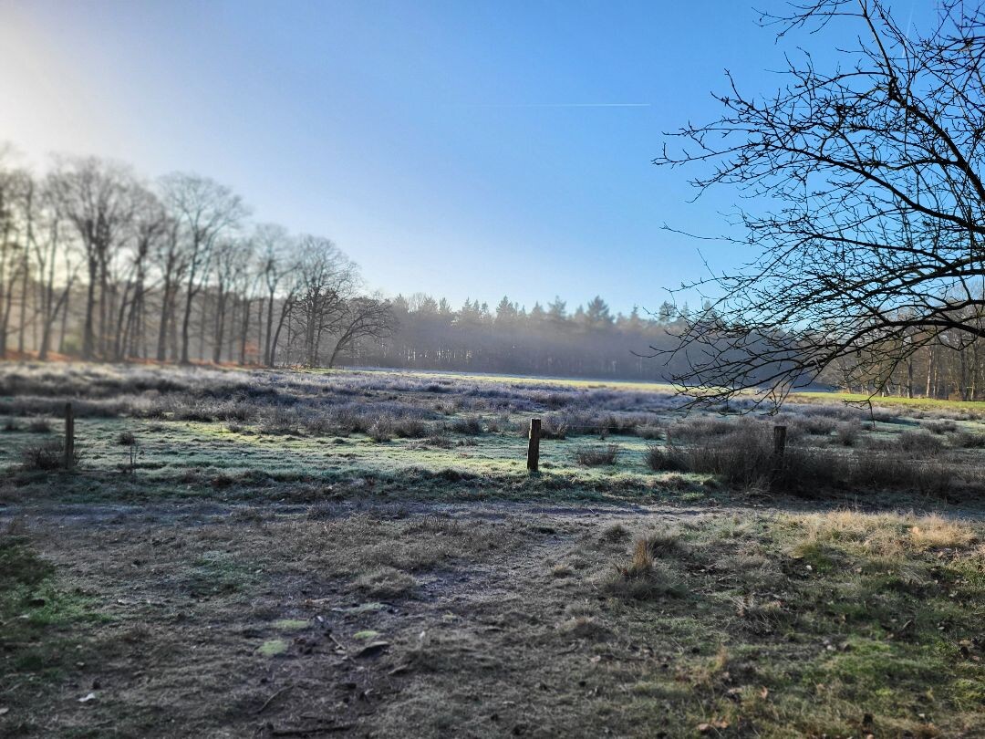 Tubbergen - Saasveld · Hilligenpad etappe 4