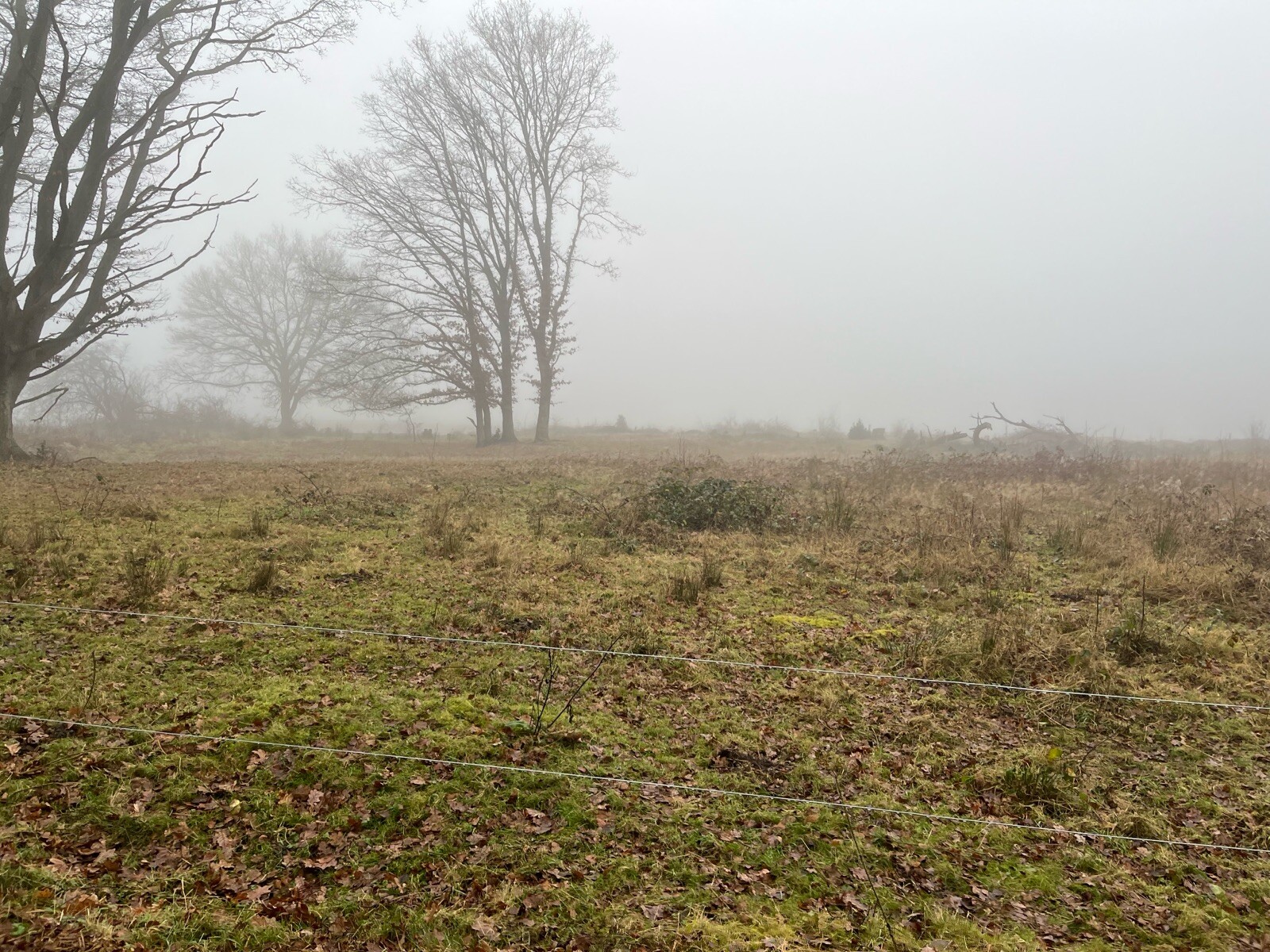 Hardenberg - Ommen · Pieterpad etappe 9