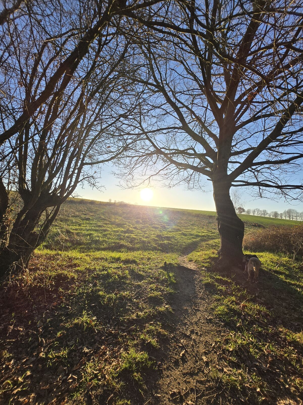 Banholt