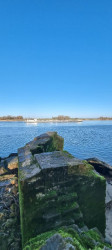 Doddendaelpad Beuningen