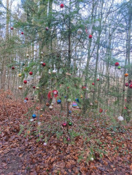 Romeinse Limespad Nijmegen/Berg en Dal - Xanten · Romeinse Limespad etappe 19