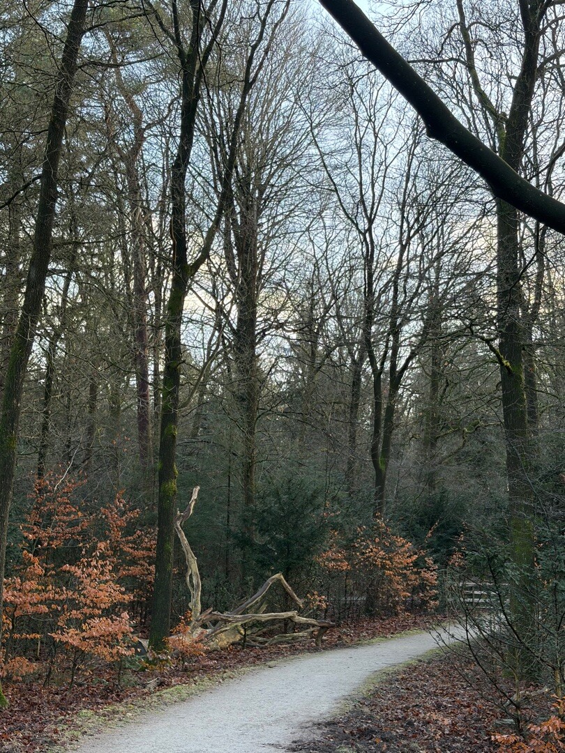 De Hoge Veluwe