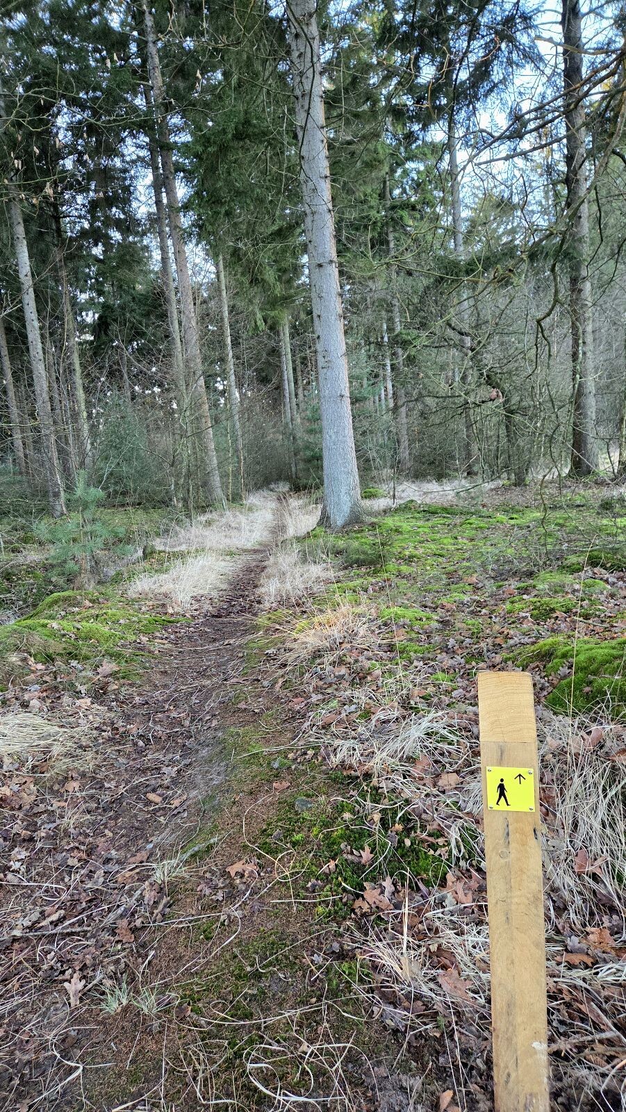 Wandelroute Mieren Sleenerzand