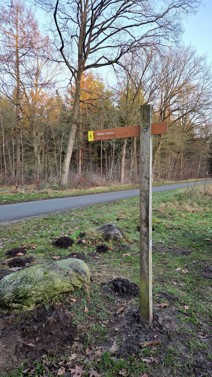 Wandelroute Mieren Sleenerzand