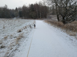 Winterwonderland