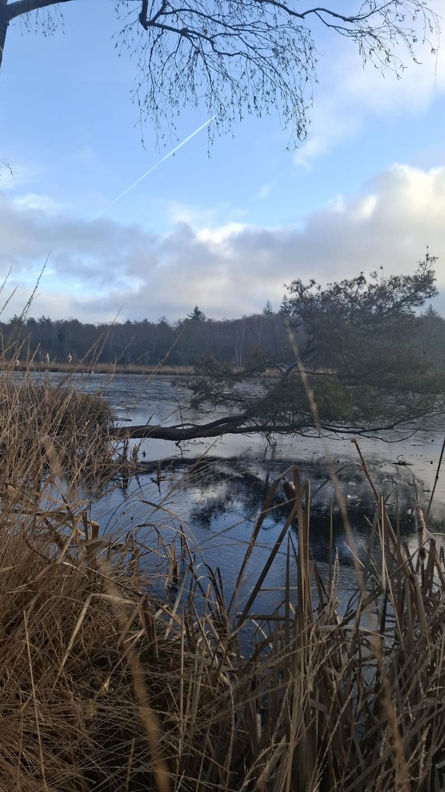 R R Walk  (remember Roelof)